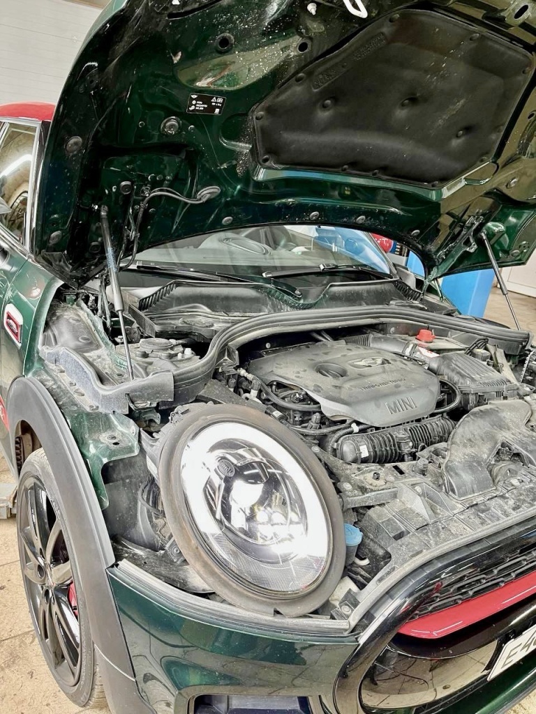 mini2.jpg